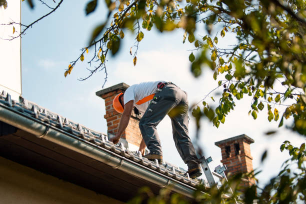 Best Roof Maintenance Services  in Arnold Line, MS