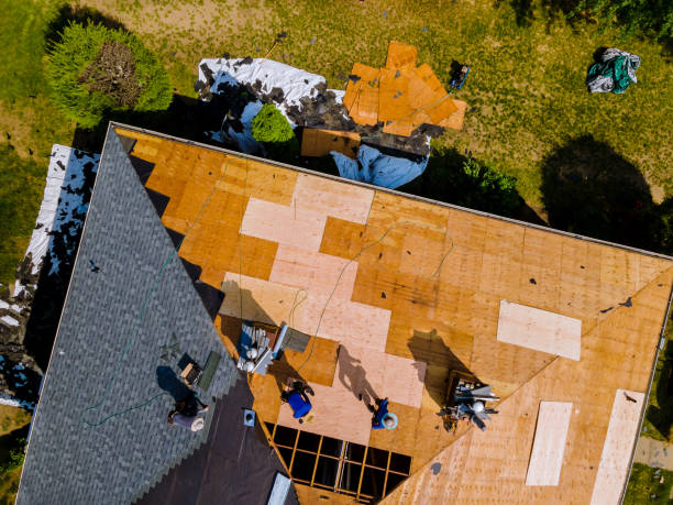 Best Metal Roofing Contractor  in Arnold Line, MS