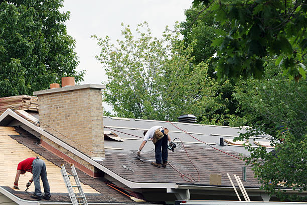 Best Roof Gutter Cleaning  in Arnold Line, MS