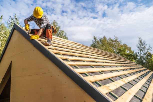 Roof Gutter Cleaning in Arnold Line, MS